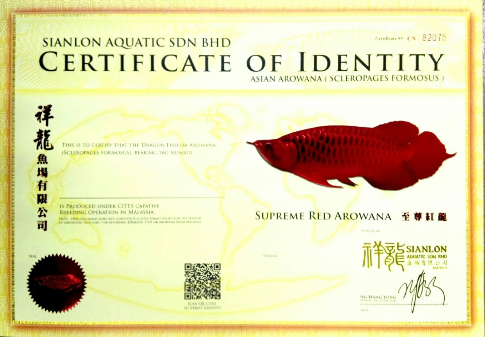 Oueme SUPREME RED AROWANA