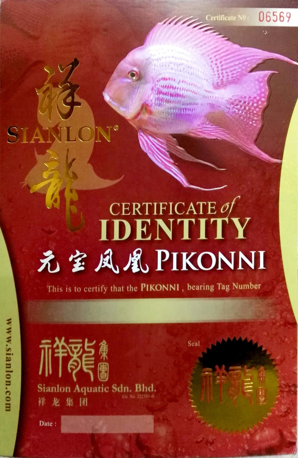 Oueme CERTIFICATE of DENTITY  PIKONNI